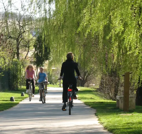 Activités et découvertes locales